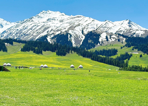Xinjiang