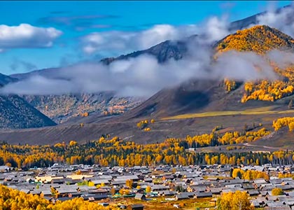 Altay
