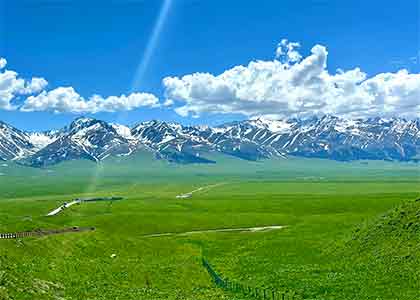 Ili Grassland