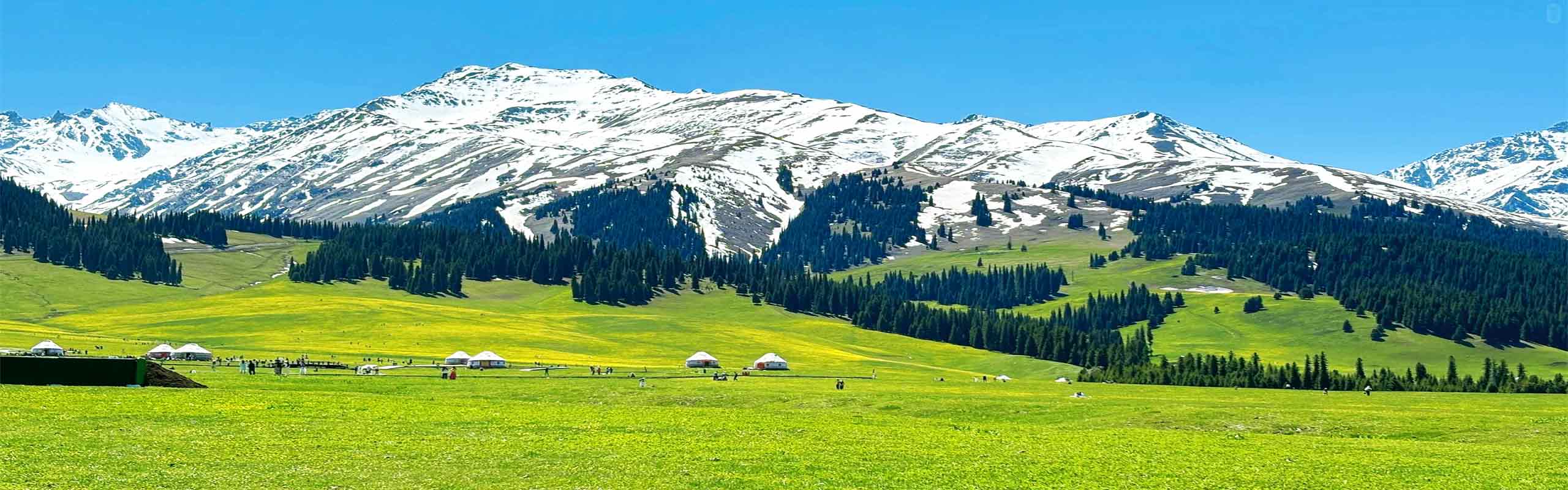 Ili Grassland