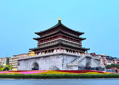3-City Cultural Journey